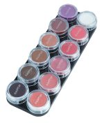 پالت 12 رنگ رژلب هانتین